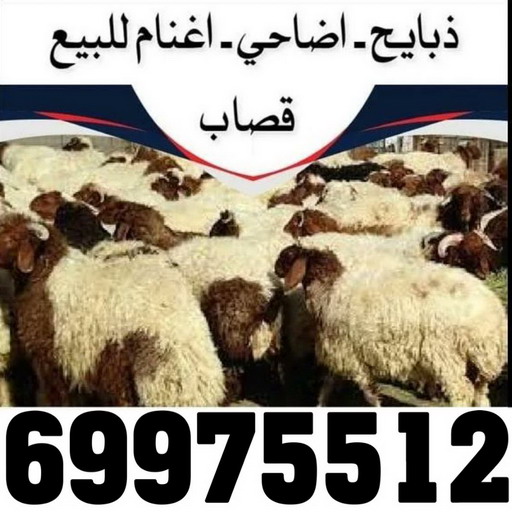 طراد المنيوم - طراد جام - باكستاني احمد 66814293 - جامات طراد - تصليح جام طراد - جام المنيوم - المنيوم جام - تصليح الشتر - المنيوم شبابيك - فني المنيوم - المنيوم - شتر - تصليح المنيوم 10 2 طراد المنيوم - طراد جام - باكستاني احمد 66814293 - جامات طراد - تصليح جام طراد - جام المنيوم - المنيوم جام - تصليح الشتر - المنيوم شبابيك - فني المنيوم - المنيوم - شتر - تصليح المنيوم