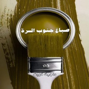 صباغ حولي - اصباغ حولي - ابوهاني📞99007654 - صباغ حولي رخيص - رقم صباغ حولي - صباغين حولي - صباغ بحولي - صباغ في حولي - صباغ سلوي - صباغ مشرف 12 صباغ جنوب السرة