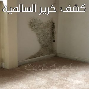 كشف خرير السالمية