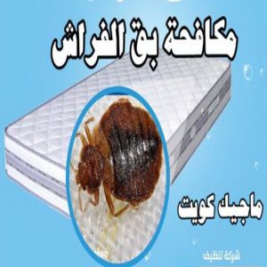 مكافحة بق مكافحة حشرات الجهراء - مكافحة حشرات وقوارض الجهراء - مكافحة حشرات 50464050 - شركة حشرات - شركة مكافحة حشرات - مكافحة بق - مكافحة قوارض - مكافحة حشرات الكويت