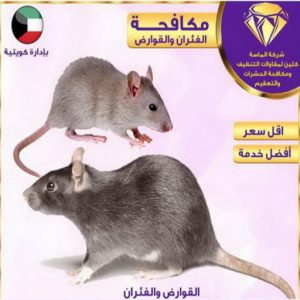 مكافحة حشرات الجهراء - مكافحة حشرات 📞 50464050 - شركة مكافحة حشرات - مكافحة حشرات وقوارض - مكافحة بق - رش صراصير - مكافحة نمل - شركة حشرات - مكافحة فئران 3 مكافحة حشرات