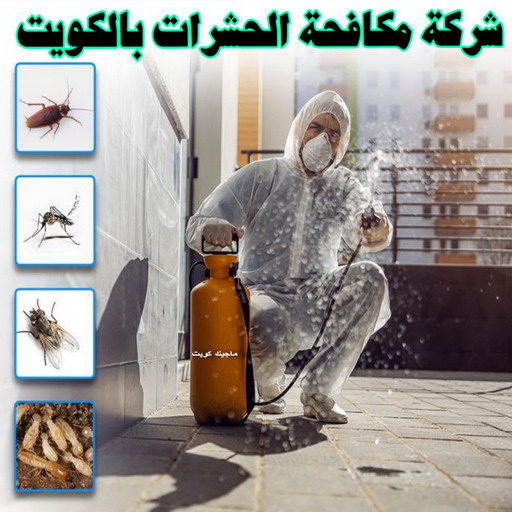 رش حشرات - مكافحة حشرات وقوارض - شركة الماسة للحشرات 94794735 - مكافحة حشرات - شركة مكافحة حشرات - مكافحة حشرة - شركة حشرات - مكافحة صراصير - رش صراصير 1 رش حشرات - مكافحة حشرات وقوارض - شركة الماسة للحشرات 94794735 - مكافحة حشرات - شركة مكافحة حشرات - مكافحة حشرة - شركة حشرات - مكافحة صراصير - رش صراصير